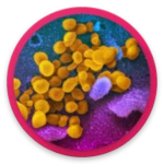 coronavirus covid 19: live tracker & symptoms android application logo